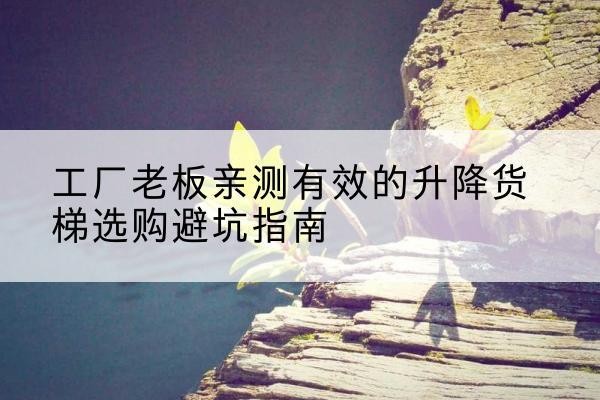 邱县升降货梯怎么选-工厂老板亲测有效的升降货梯选购避坑指南