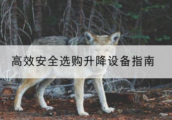 邱县升降货梯厂家推荐-*安全选购升降设备指南