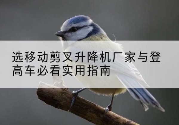 邱县电动升降机厂家-选移动剪叉升降机厂家与登高车必看实用指南