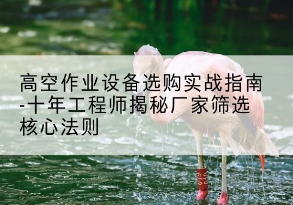 邱县剪叉式升降机厂家-高空作业设备选购实战指南-十年工程师揭秘厂家筛选核心法则