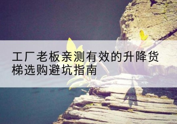 邱县升降货梯怎么选-工厂老板亲测有效的升降货梯选购避坑指南